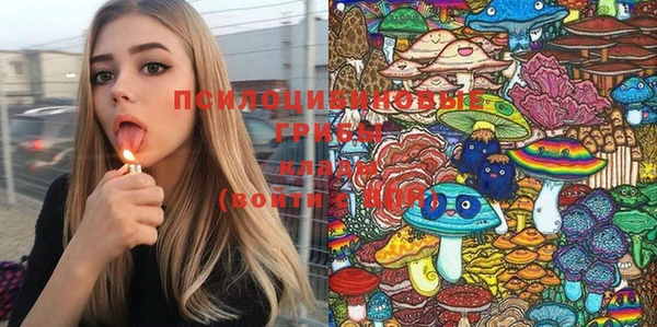 прущая мука Приозерск