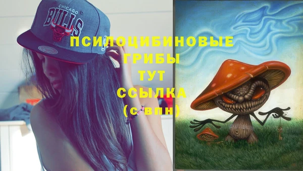 прущая мука Приозерск