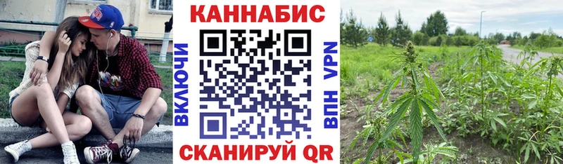 Конопля конопля наркошоп Энгельс